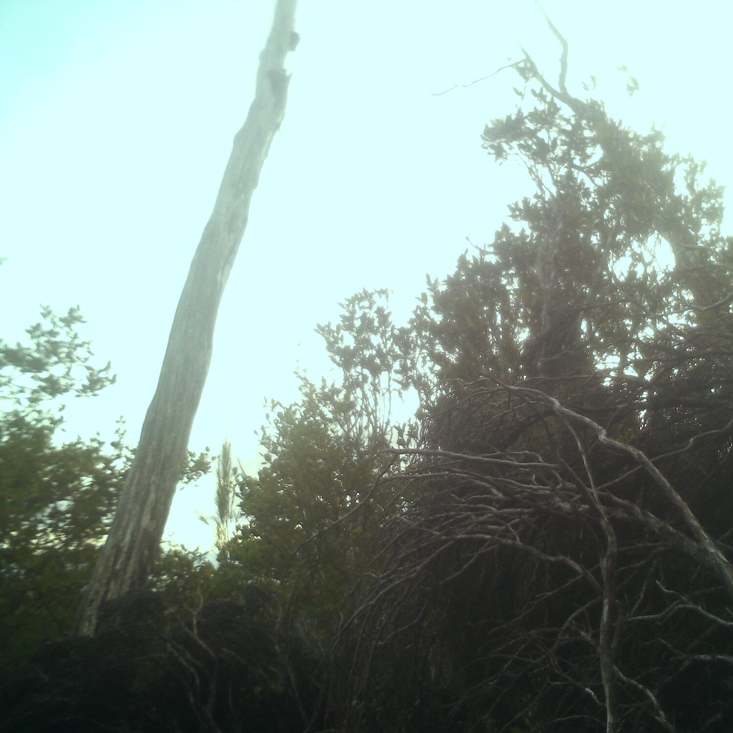 A photo captured from the webcam at the time the audio was recorded