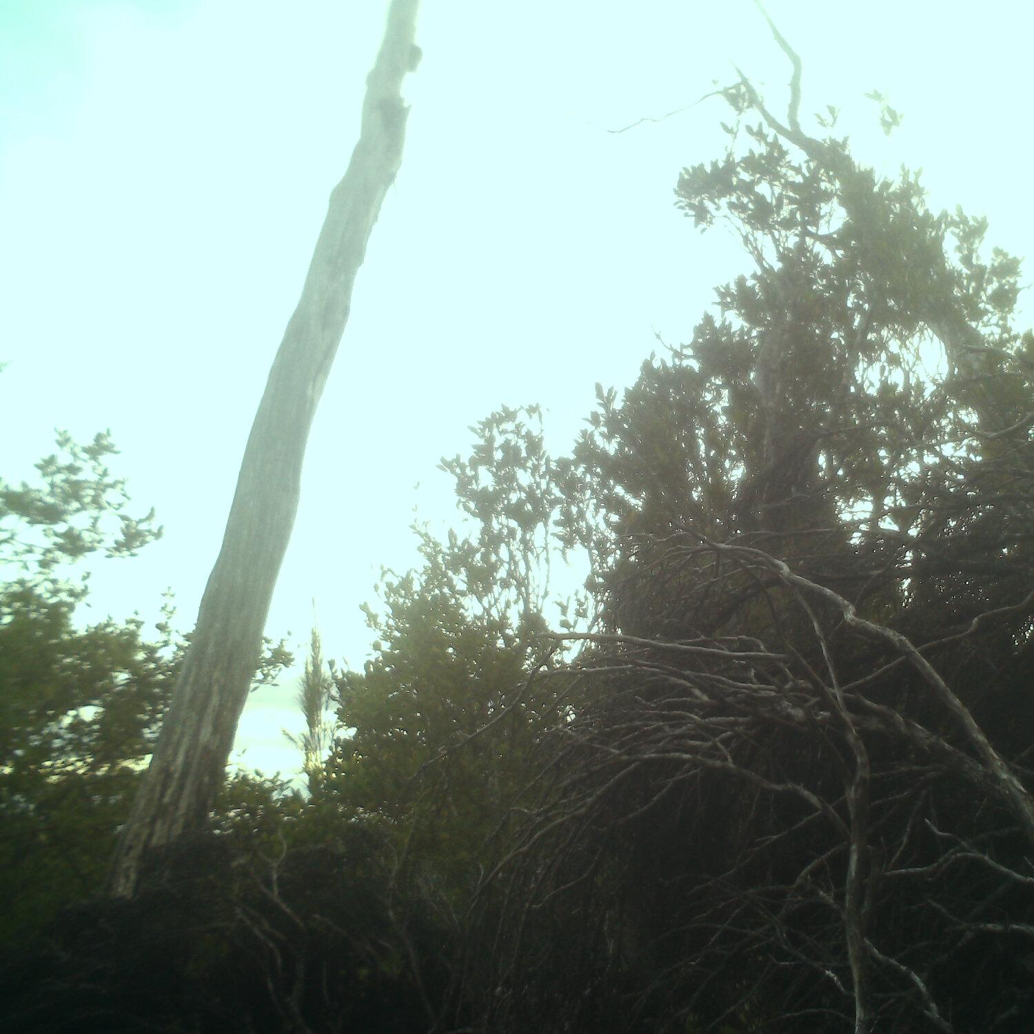 A photo captured from the webcam at the time the audio was recorded