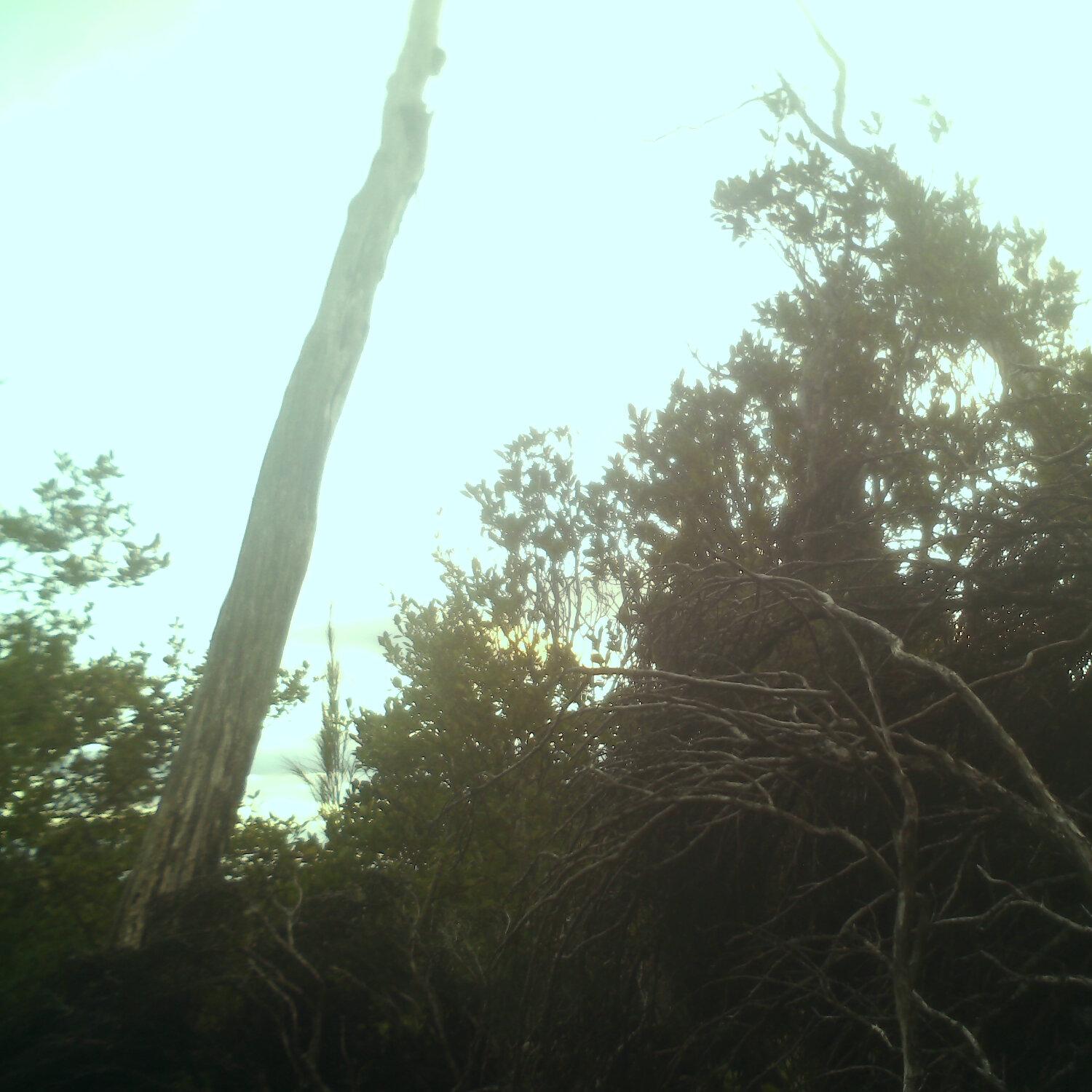A photo captured from the webcam at the time the audio was recorded