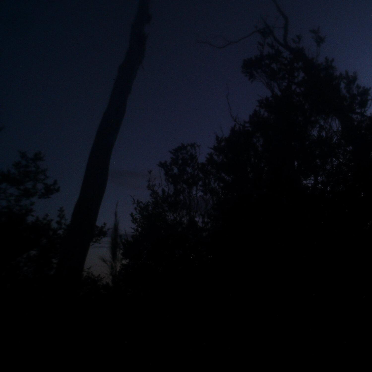 A photo captured from the webcam at the time the audio was recorded