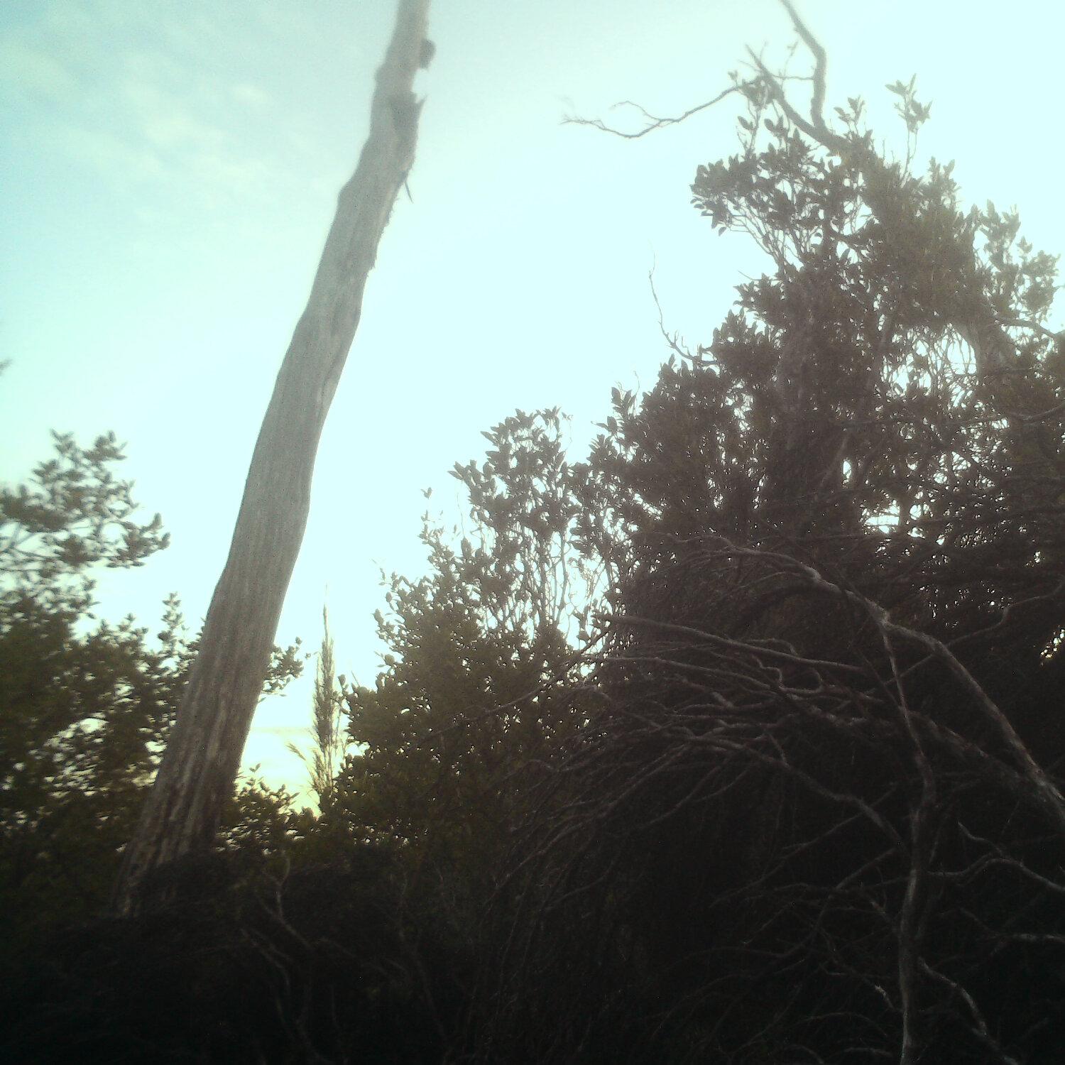 A photo captured from the webcam at the time the audio was recorded