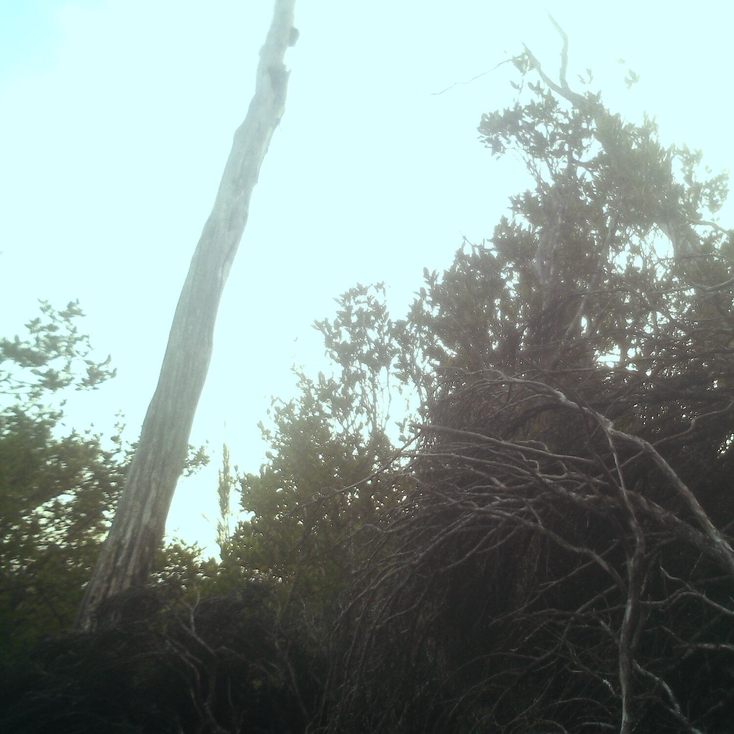 A photo captured from the webcam at the time the audio was recorded