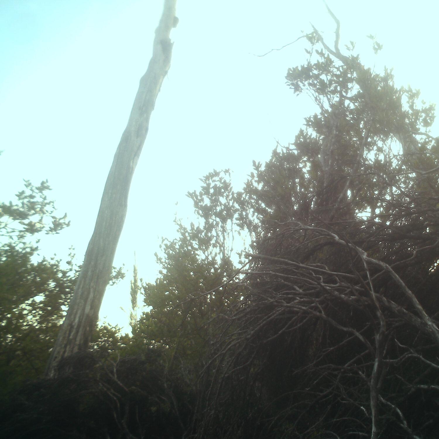 A photo captured from the webcam at the time the audio was recorded