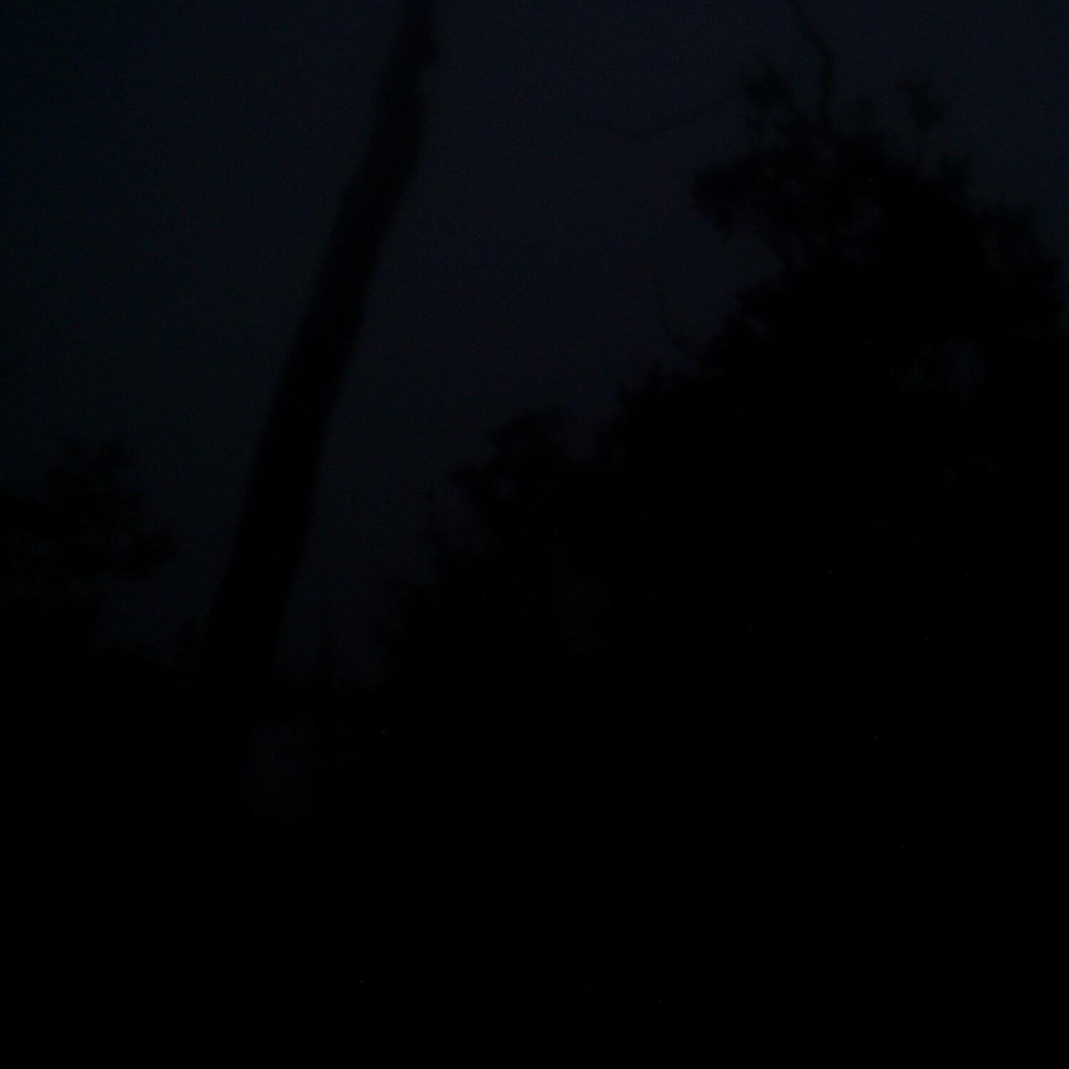 A photo captured from the webcam at the time the audio was recorded