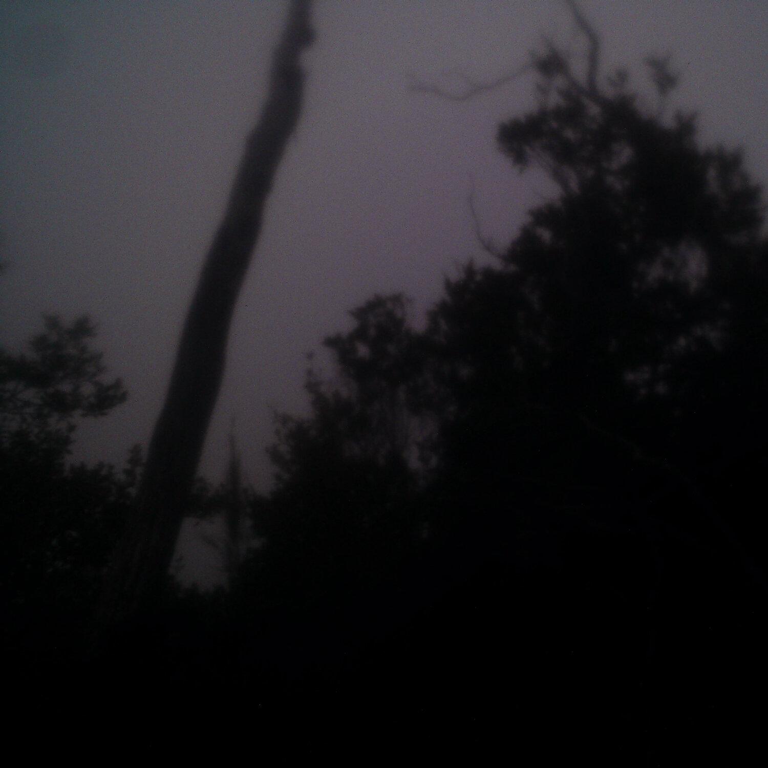 A photo captured from the webcam at the time the audio was recorded