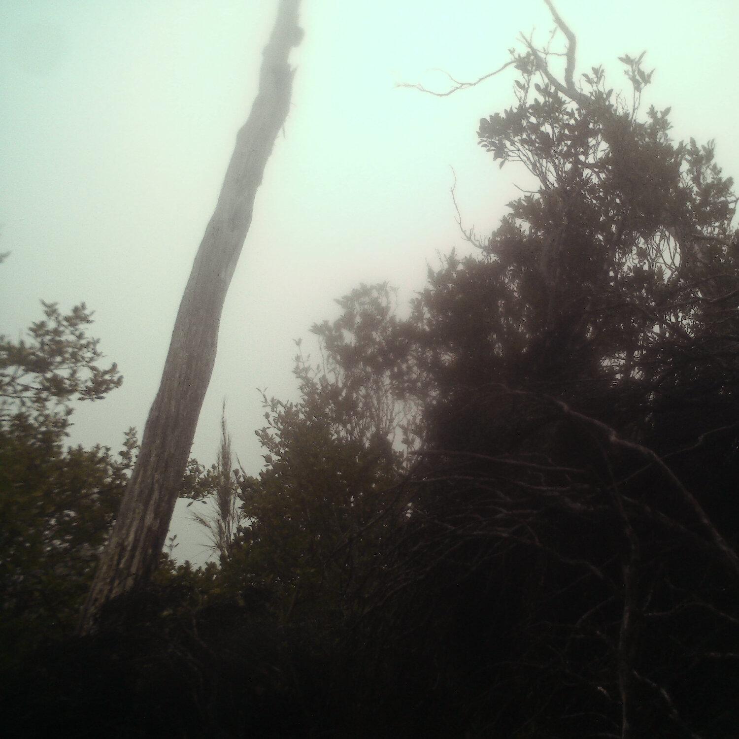 A photo captured from the webcam at the time the audio was recorded