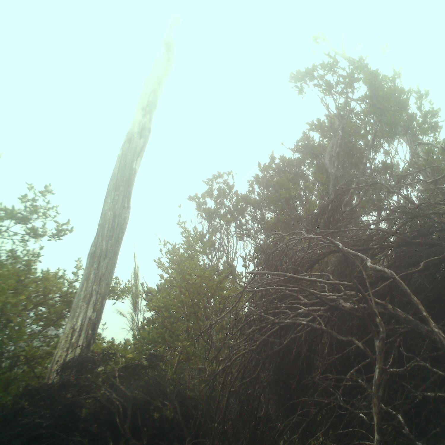 A photo captured from the webcam at the time the audio was recorded
