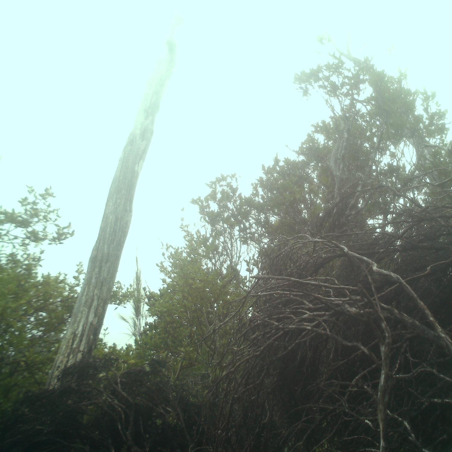 A photo captured from the webcam at the time the audio was recorded