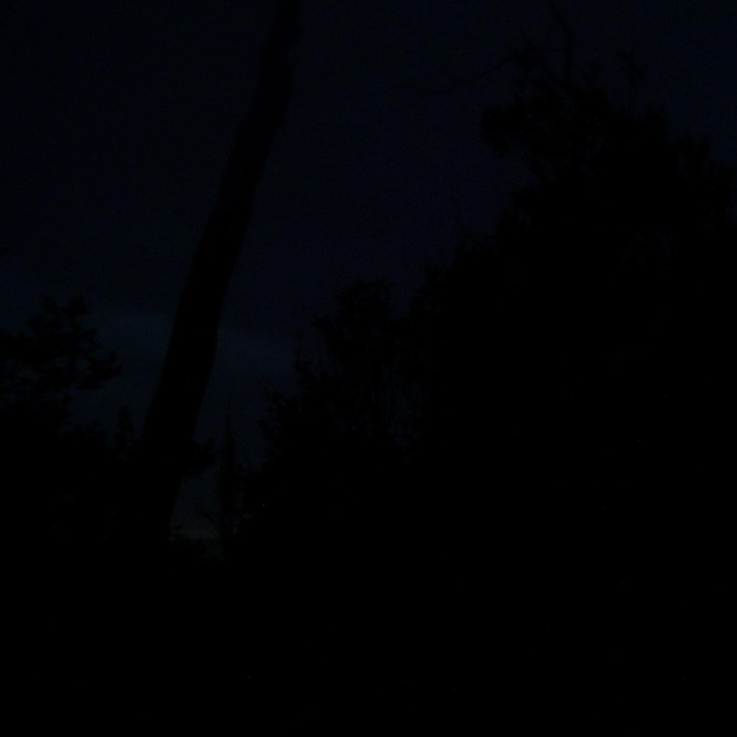 A photo captured from the webcam at the time the audio was recorded