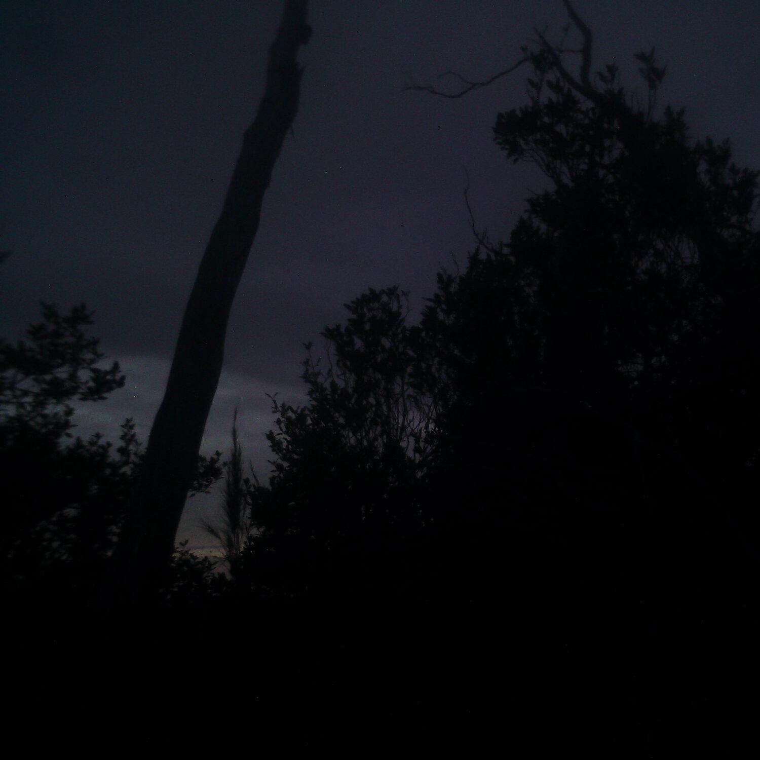 A photo captured from the webcam at the time the audio was recorded