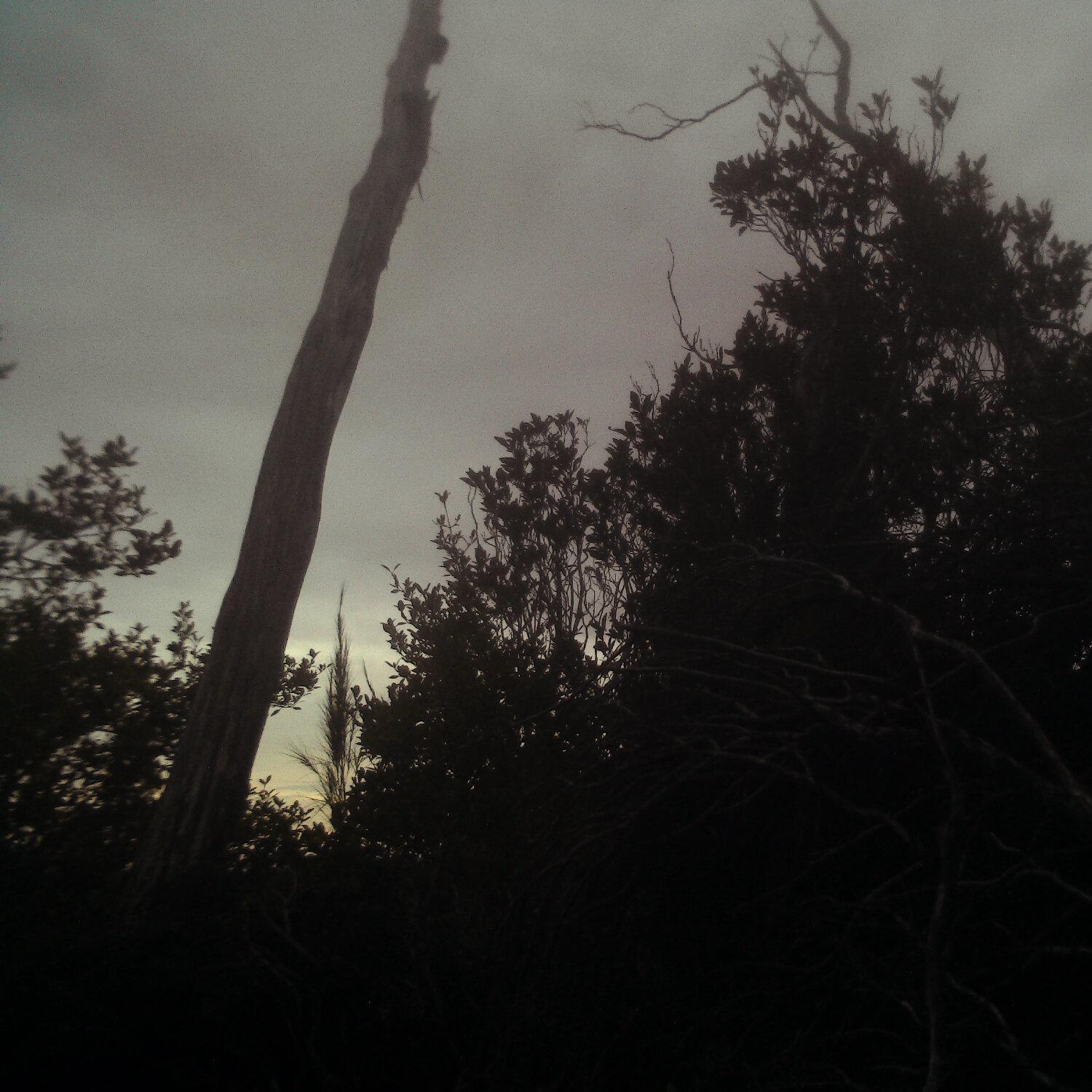 A photo captured from the webcam at the time the audio was recorded