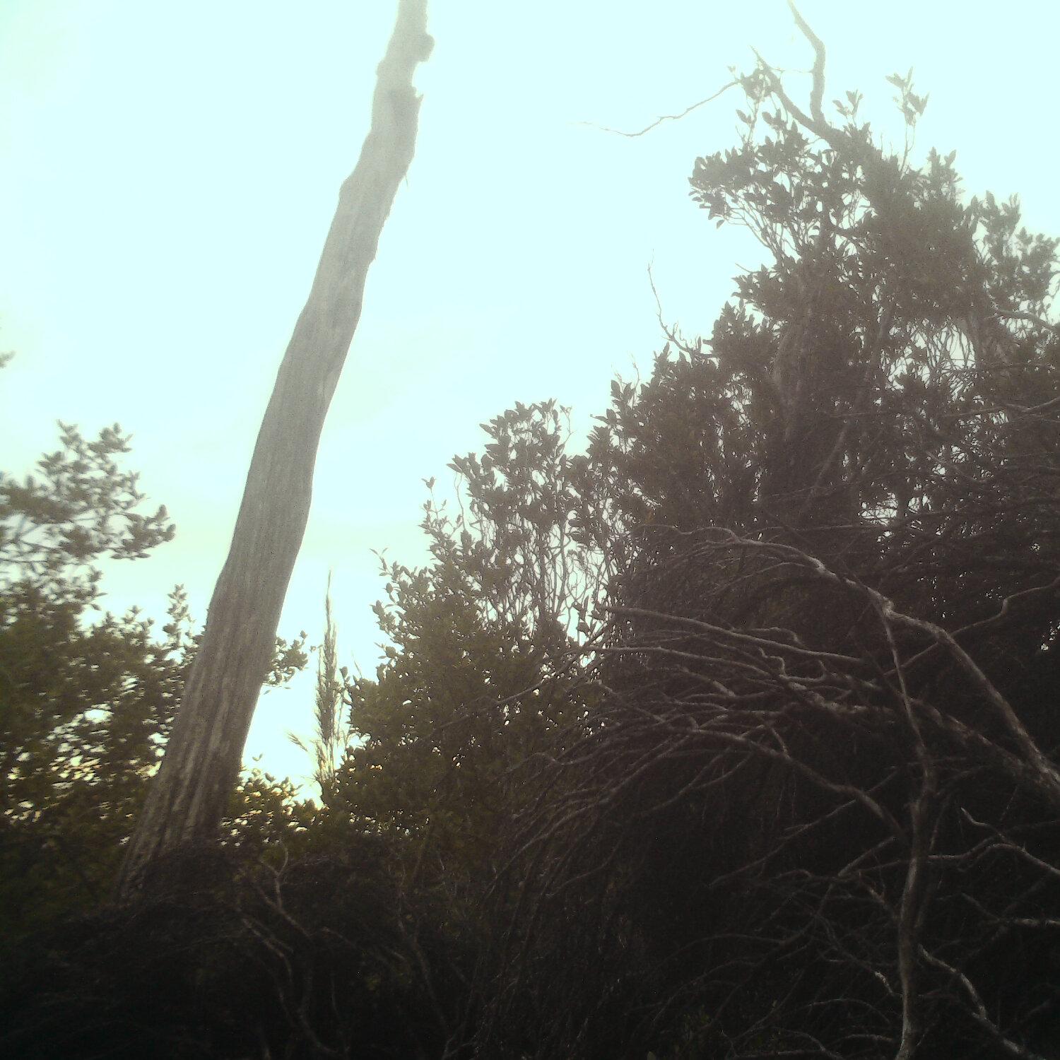 A photo captured from the webcam at the time the audio was recorded