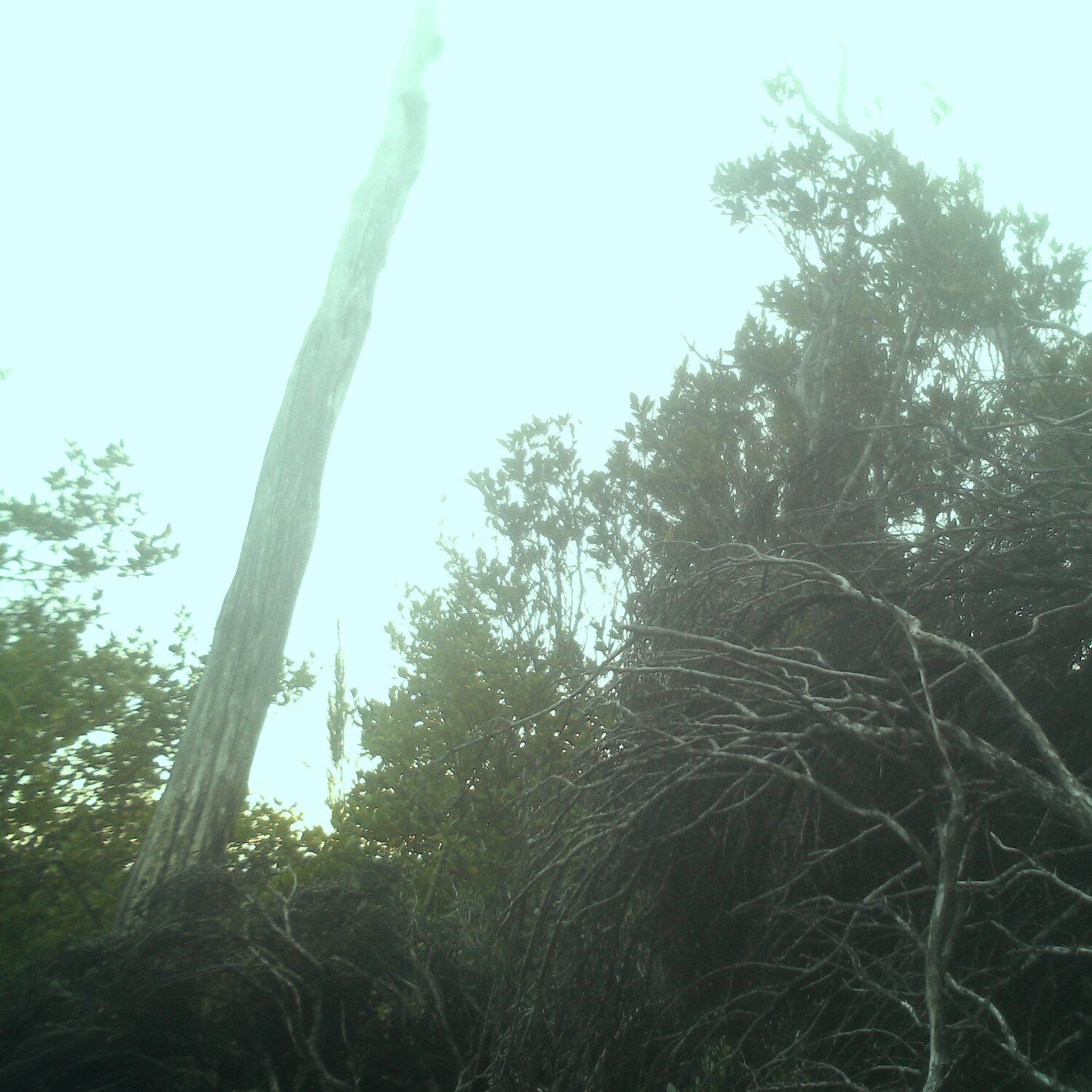 A photo captured from the webcam at the time the audio was recorded