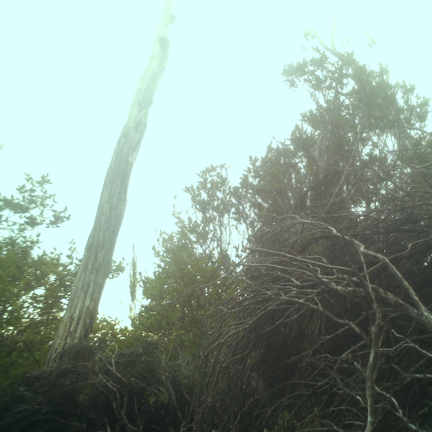 A photo captured from the webcam at the time the audio was recorded