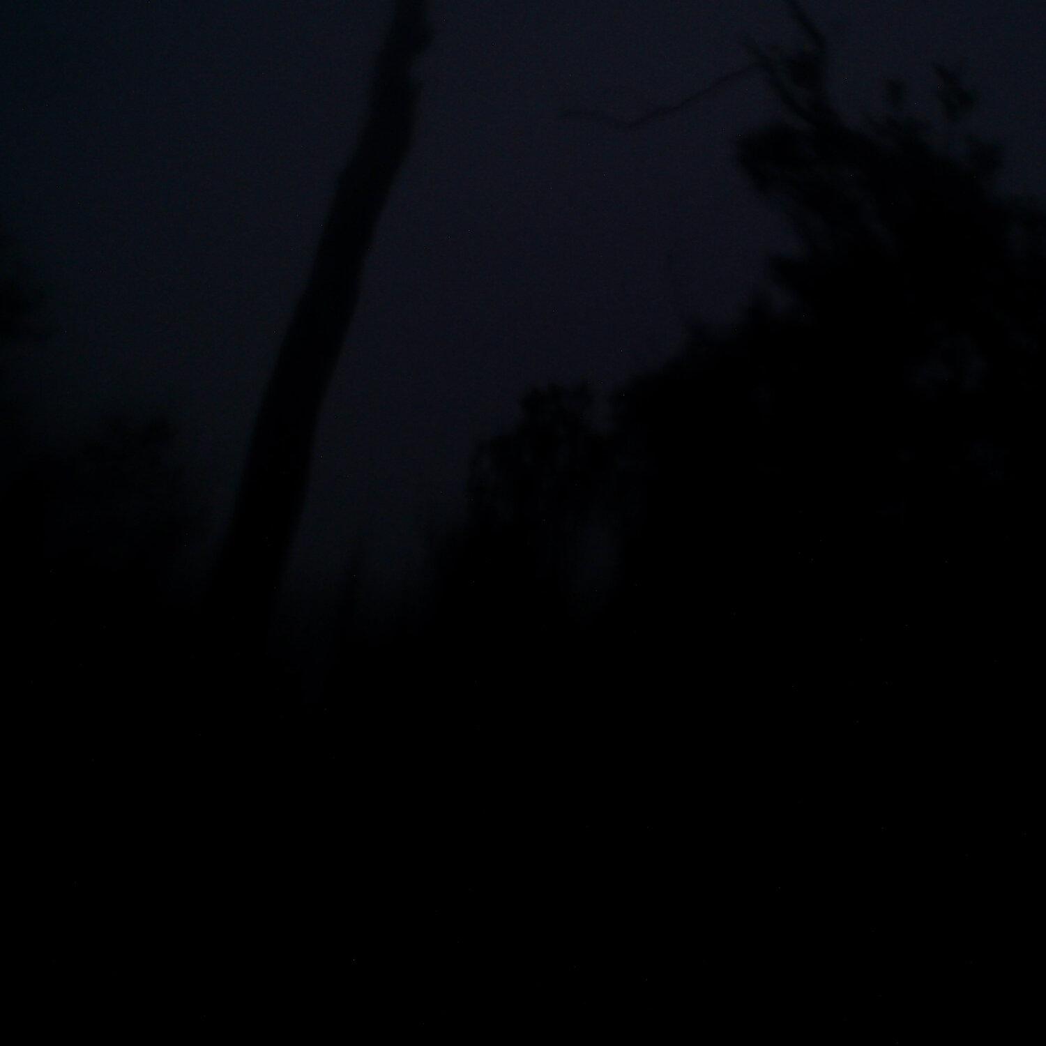 A photo captured from the webcam at the time the audio was recorded