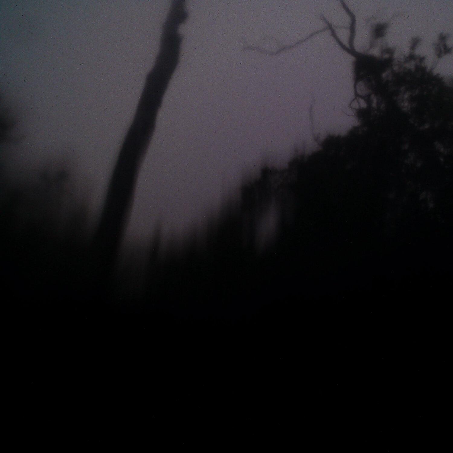 A photo captured from the webcam at the time the audio was recorded