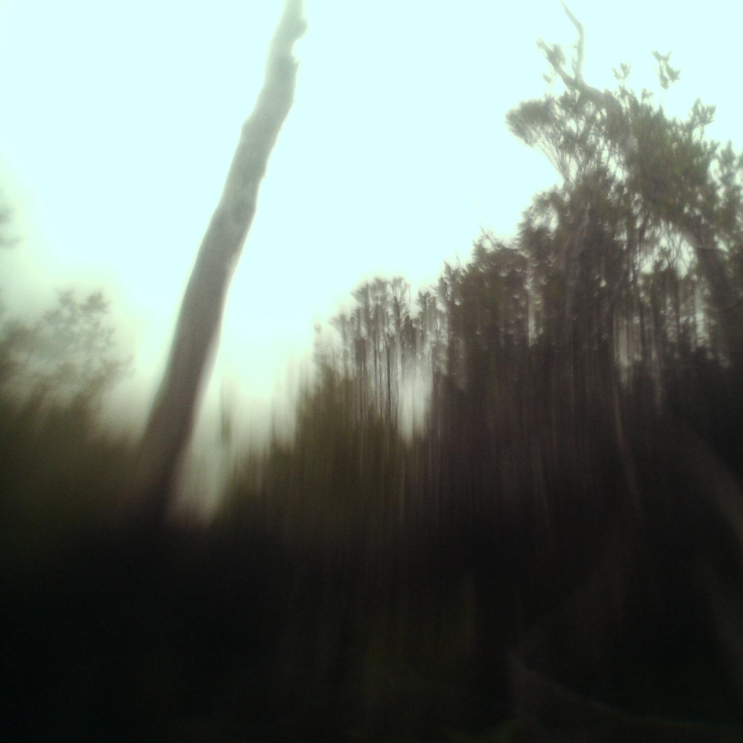A photo captured from the webcam at the time the audio was recorded