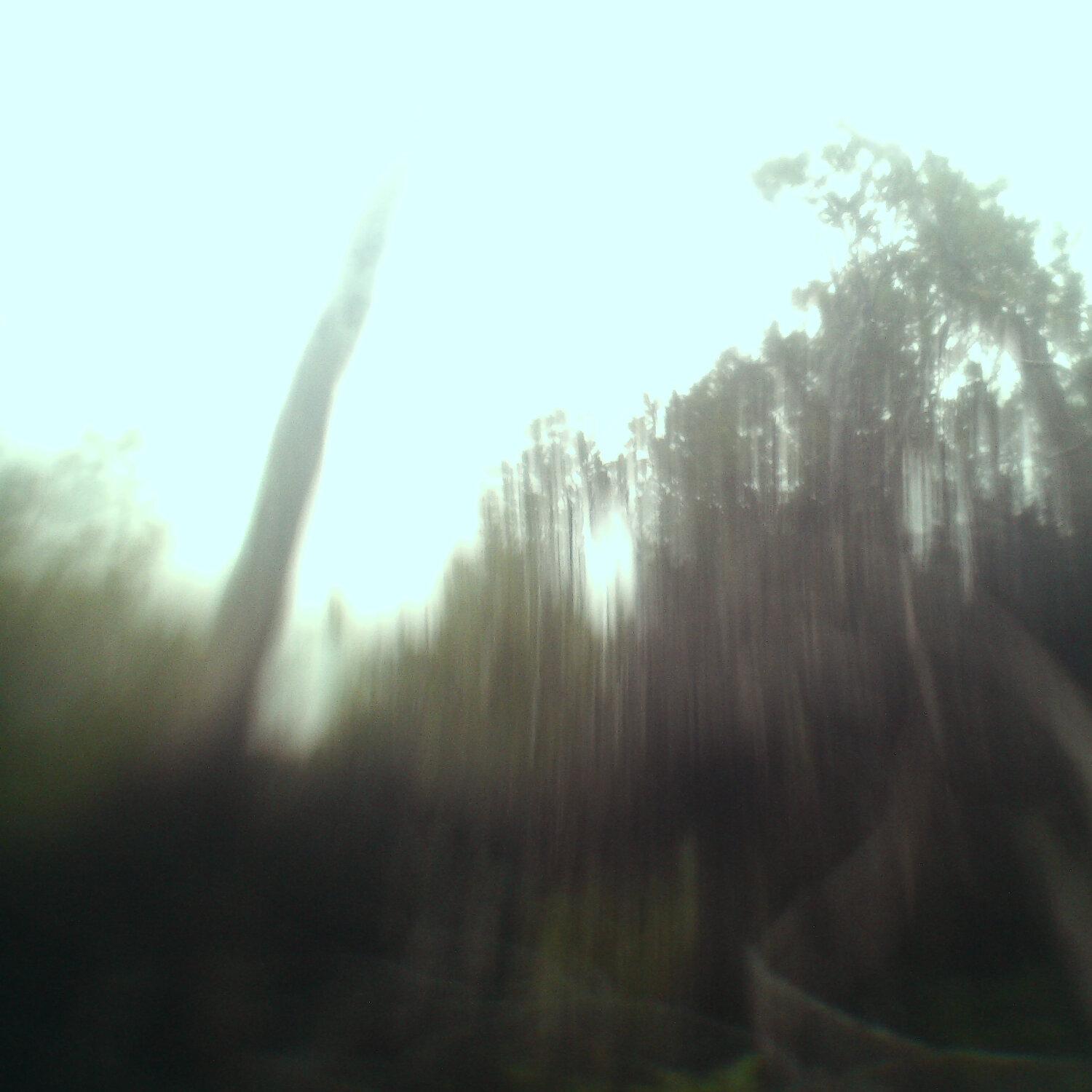 A photo captured from the webcam at the time the audio was recorded