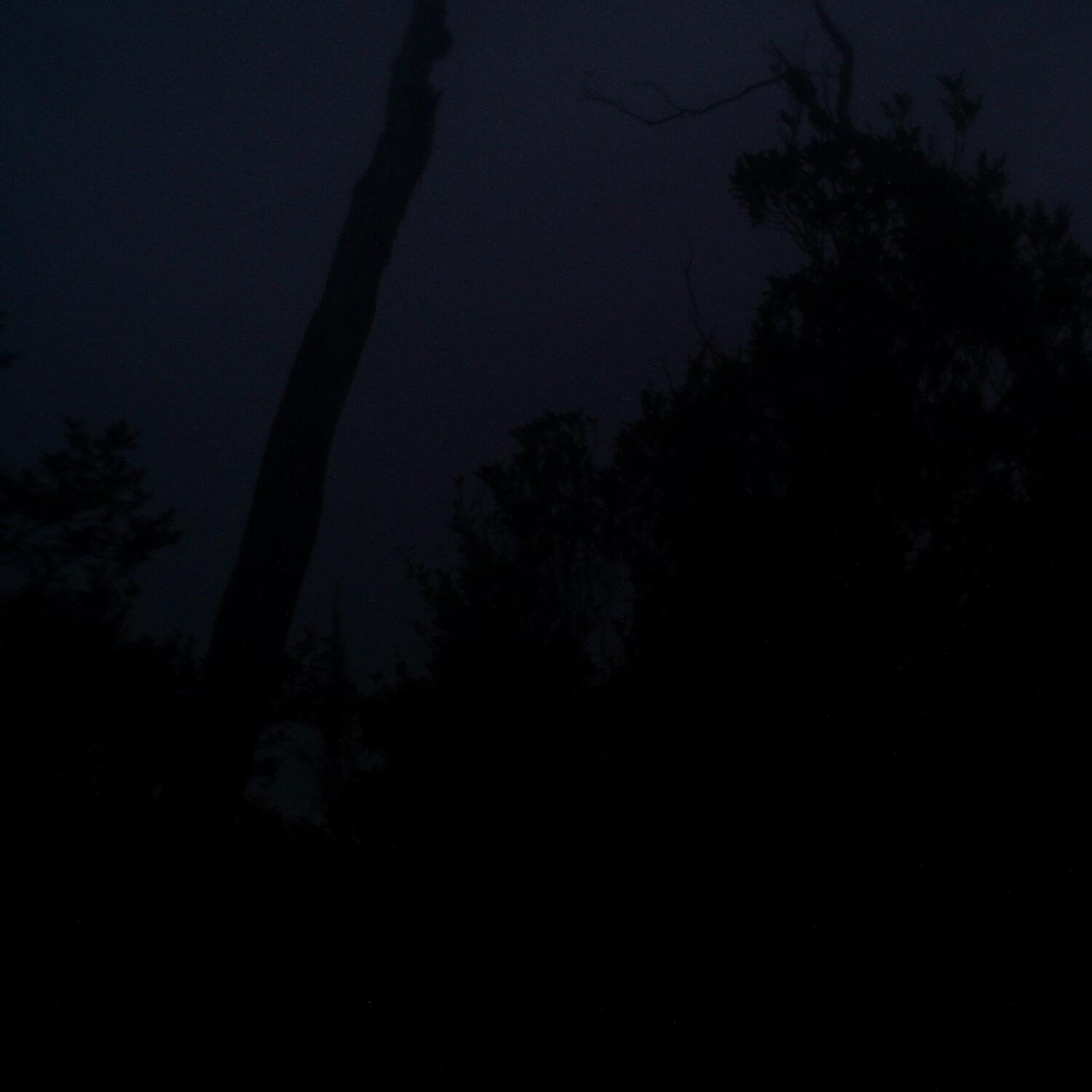 A photo captured from the webcam at the time the audio was recorded