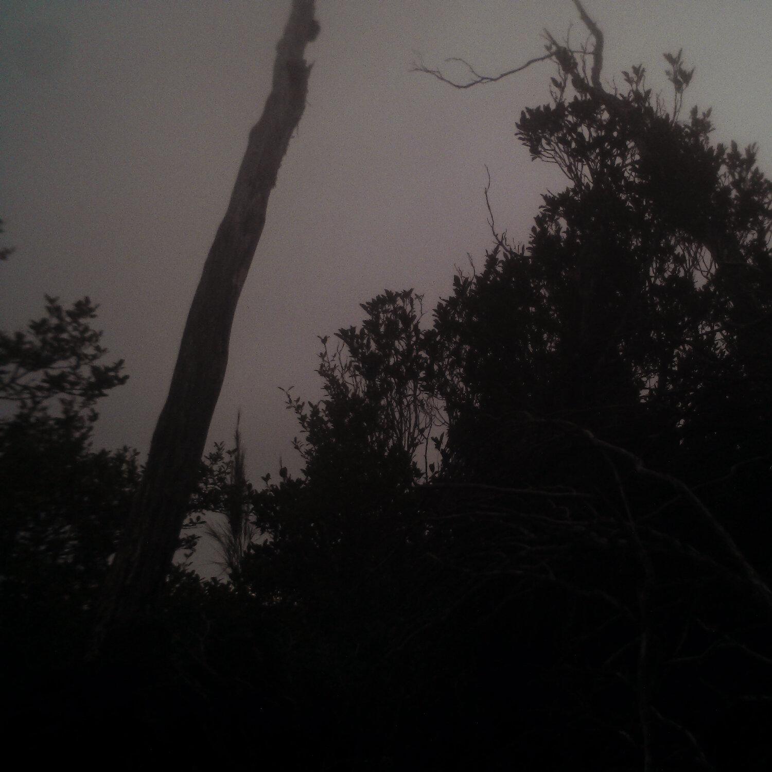 A photo captured from the webcam at the time the audio was recorded
