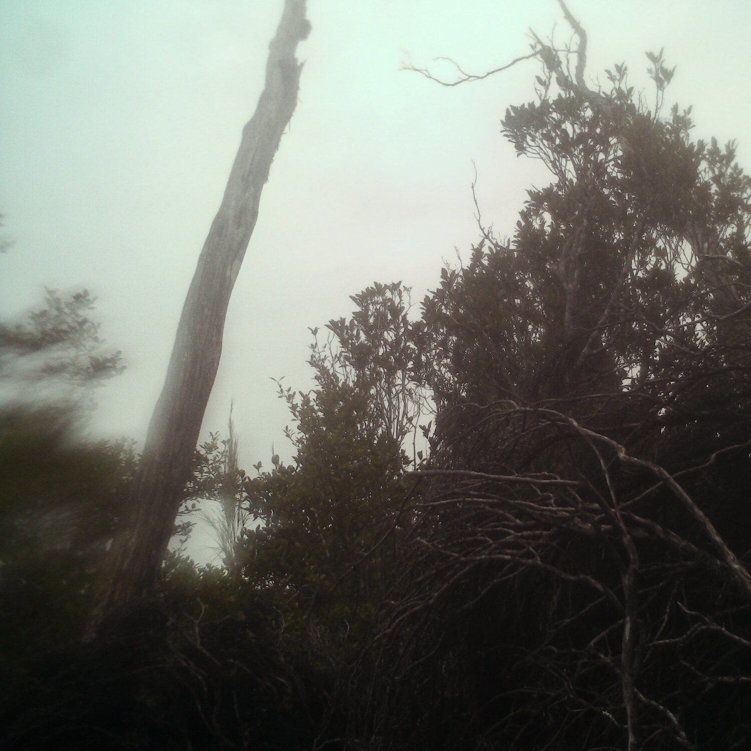 A photo captured from the webcam at the time the audio was recorded