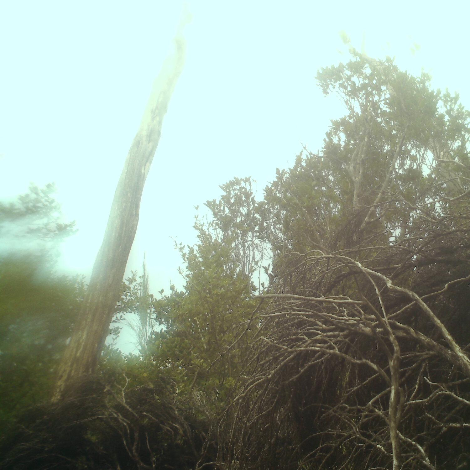 A photo captured from the webcam at the time the audio was recorded
