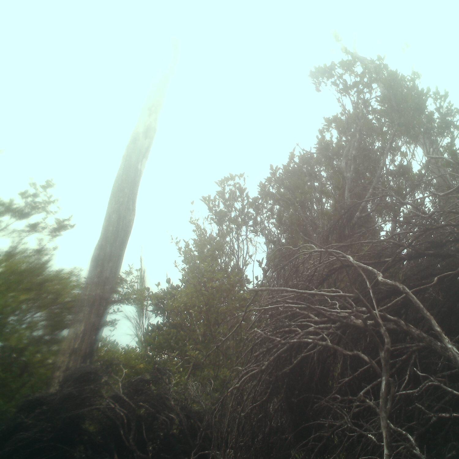 A photo captured from the webcam at the time the audio was recorded
