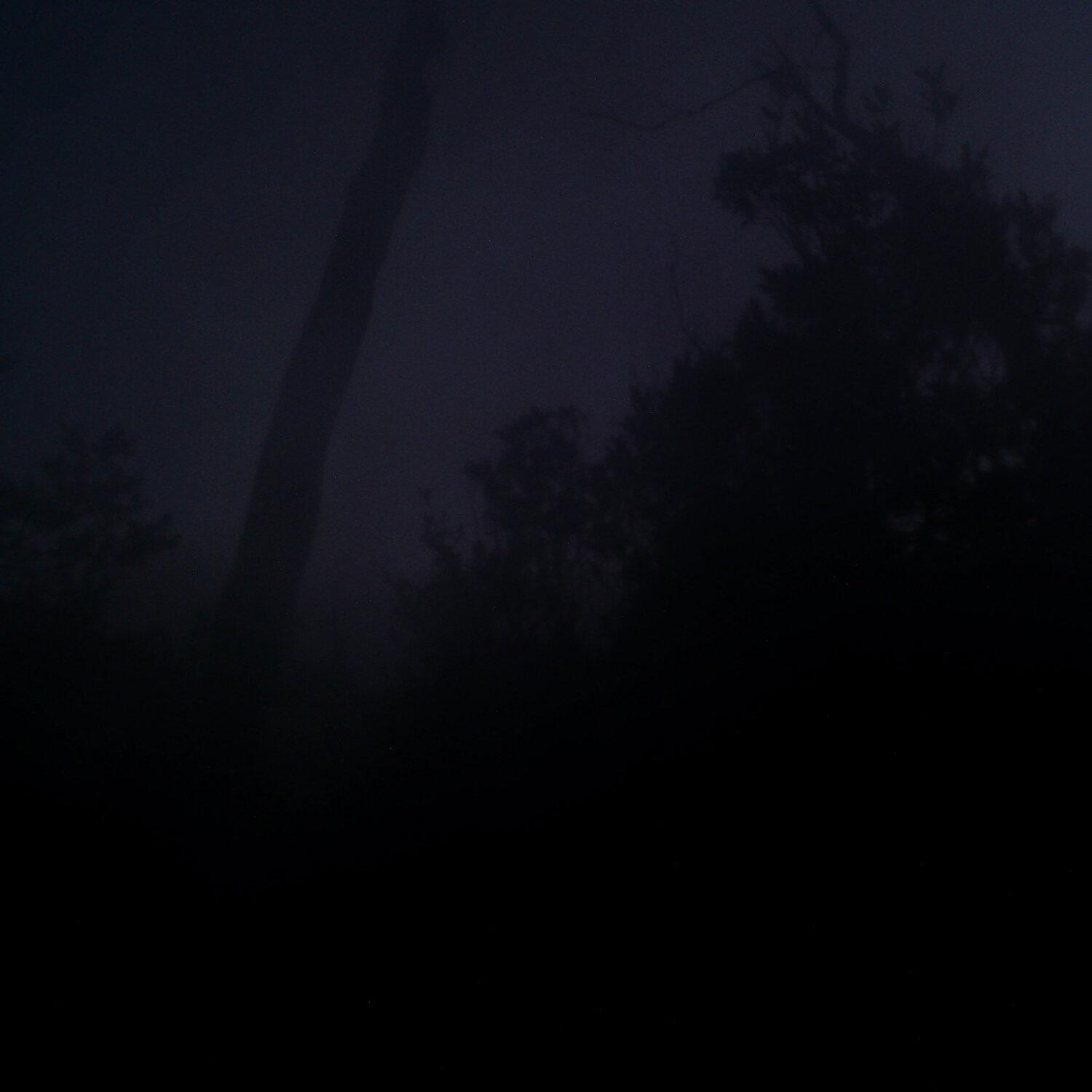 A photo captured from the webcam at the time the audio was recorded