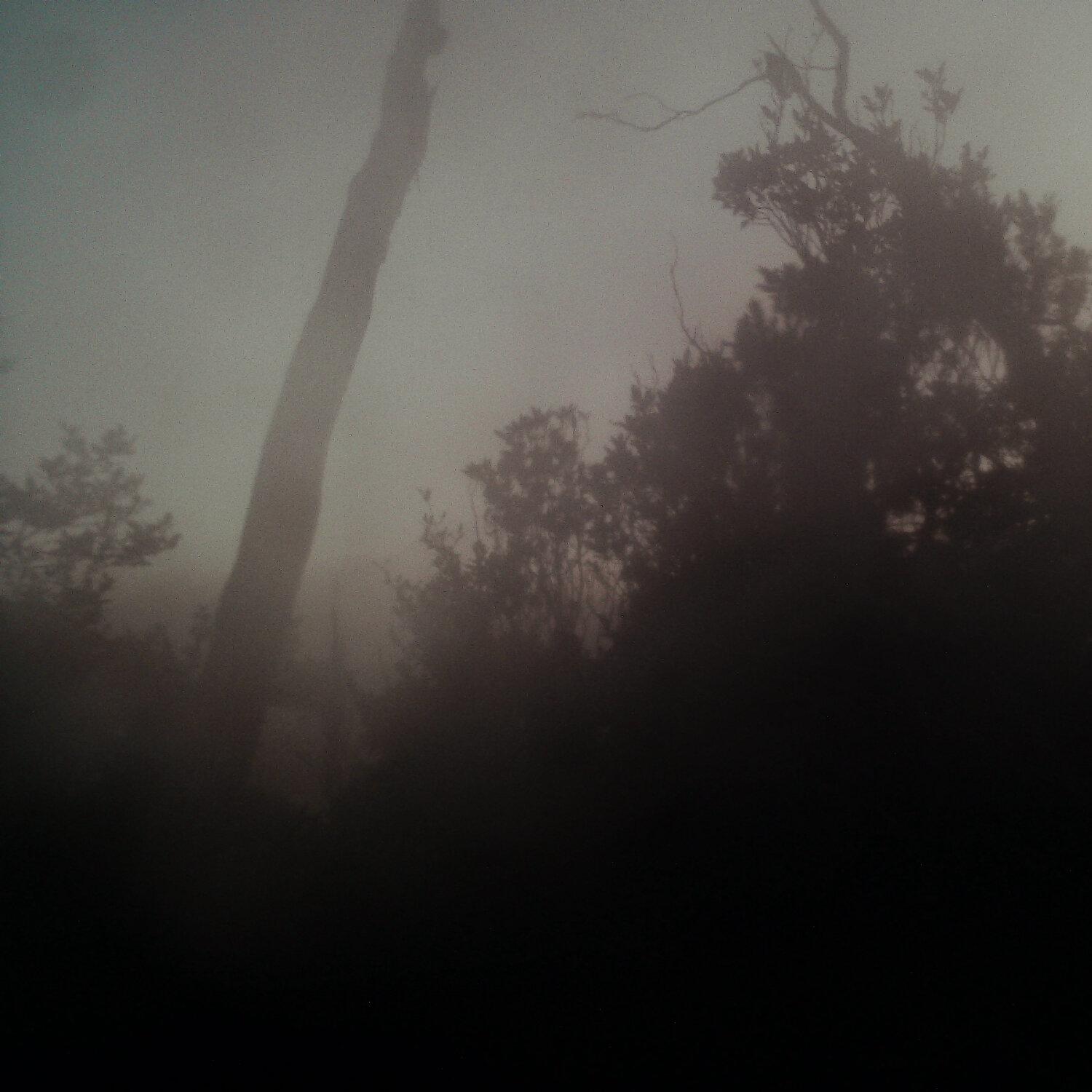 A photo captured from the webcam at the time the audio was recorded