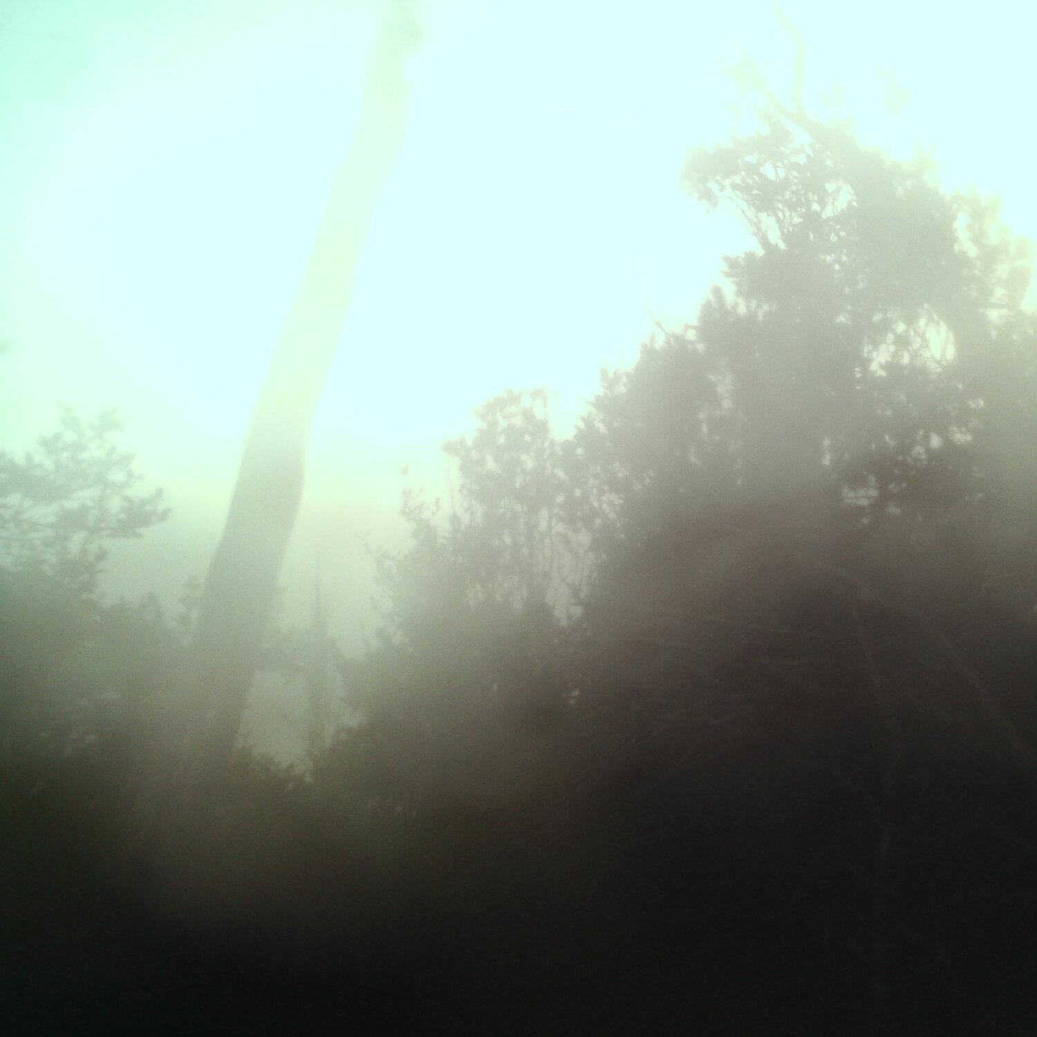 A photo captured from the webcam at the time the audio was recorded