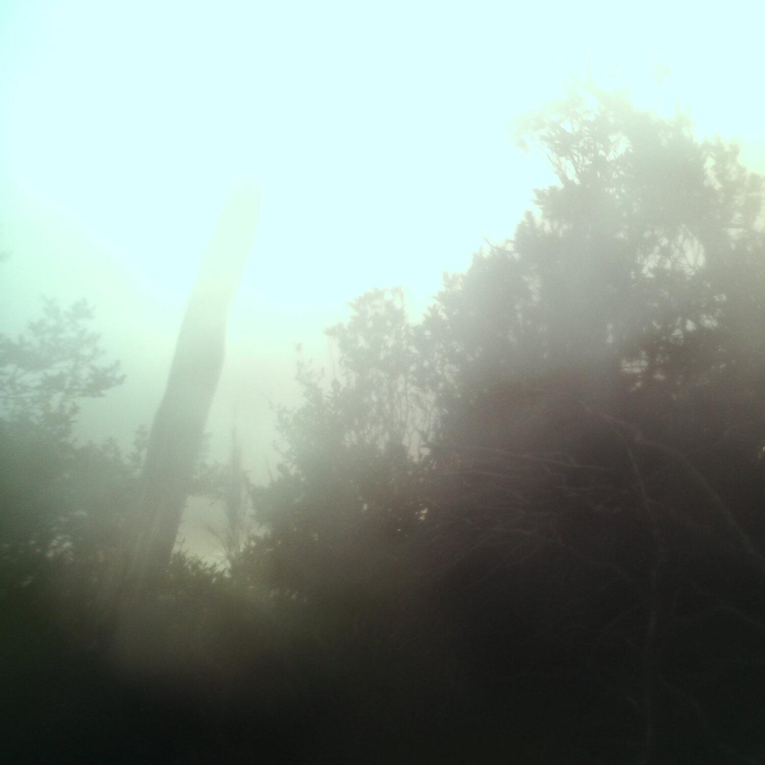A photo captured from the webcam at the time the audio was recorded