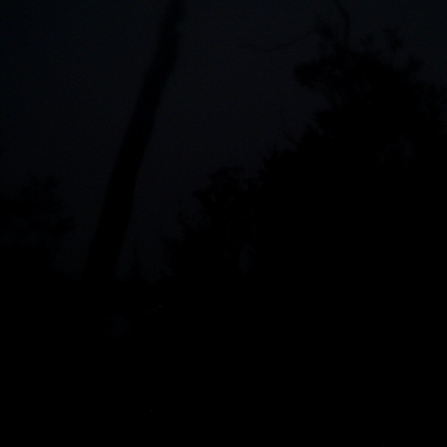 A photo captured from the webcam at the time the audio was recorded