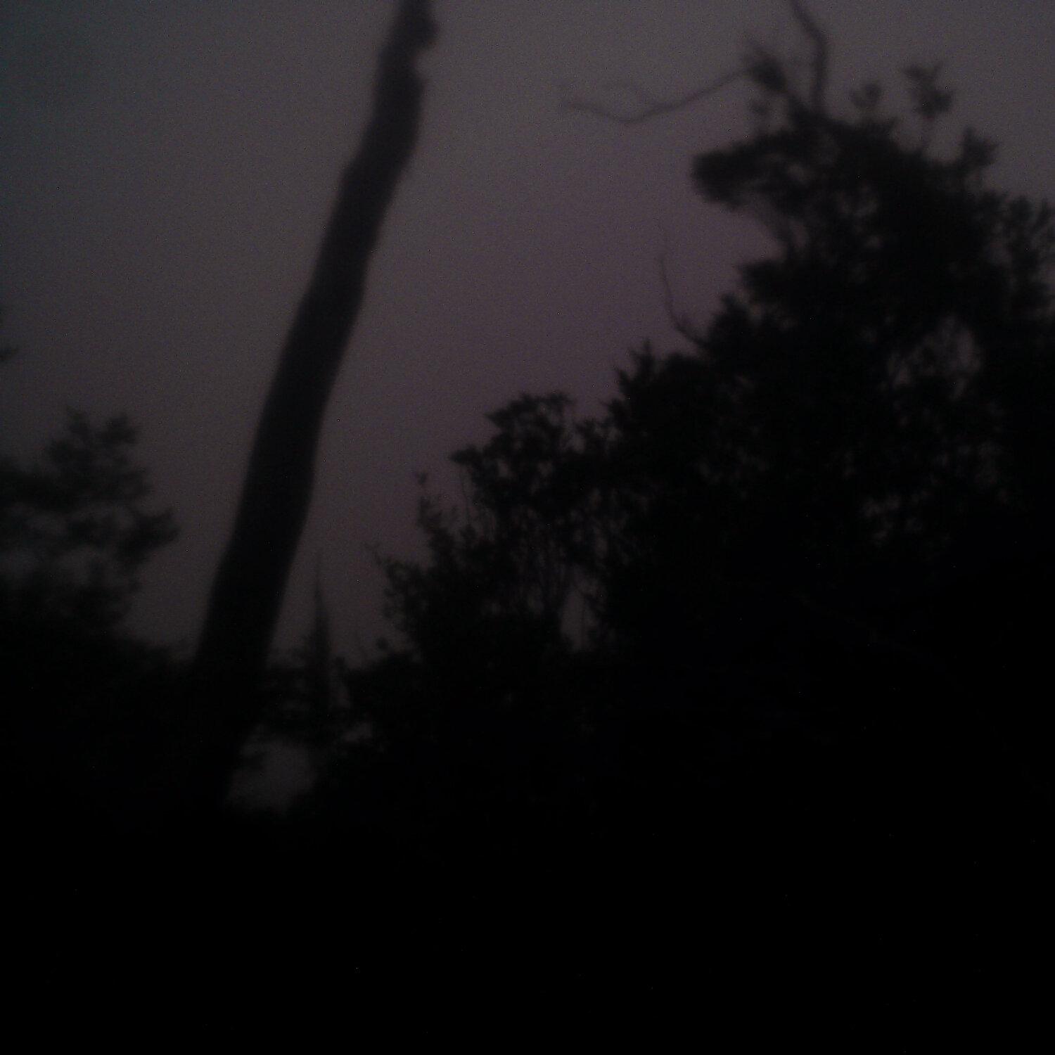 A photo captured from the webcam at the time the audio was recorded