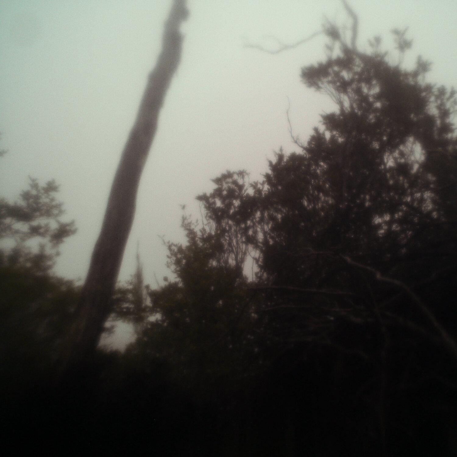 A photo captured from the webcam at the time the audio was recorded