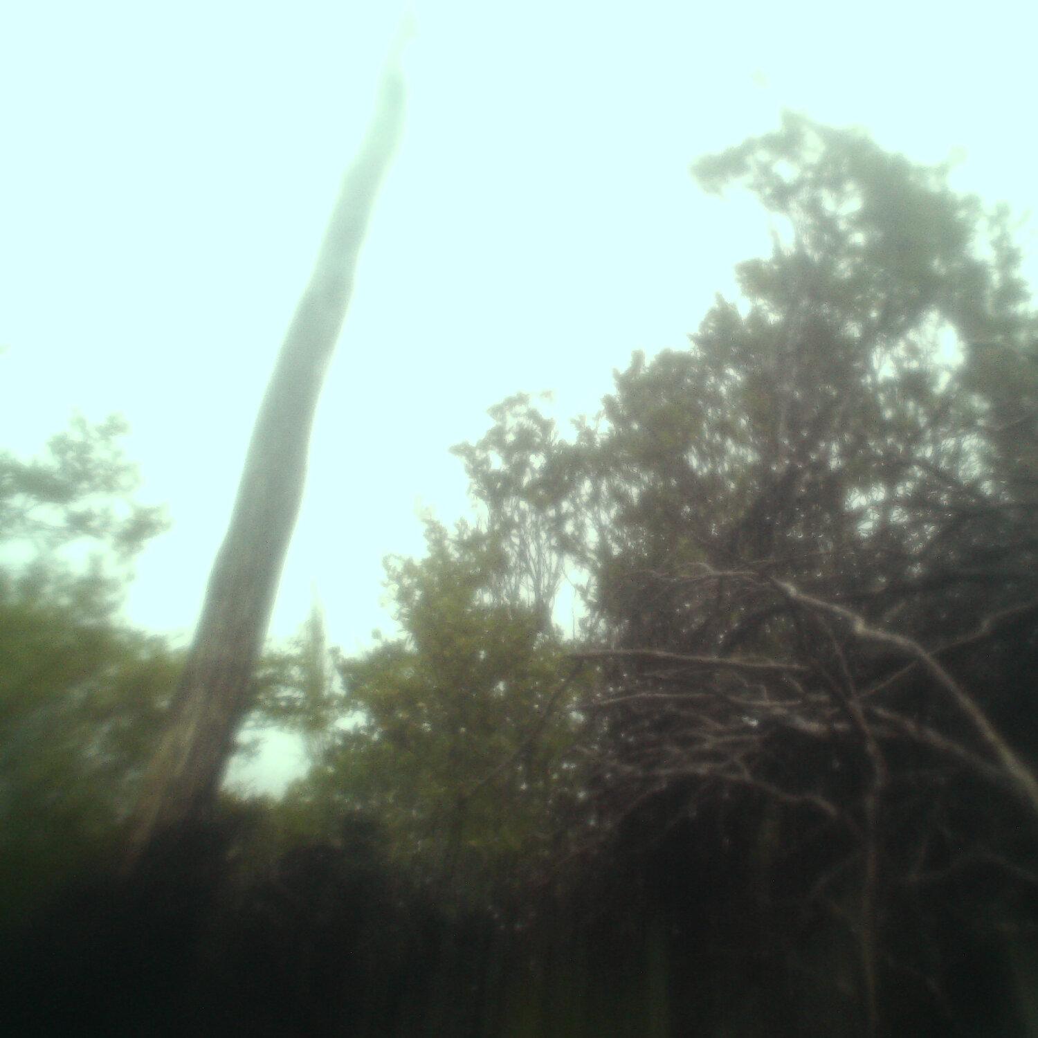 A photo captured from the webcam at the time the audio was recorded