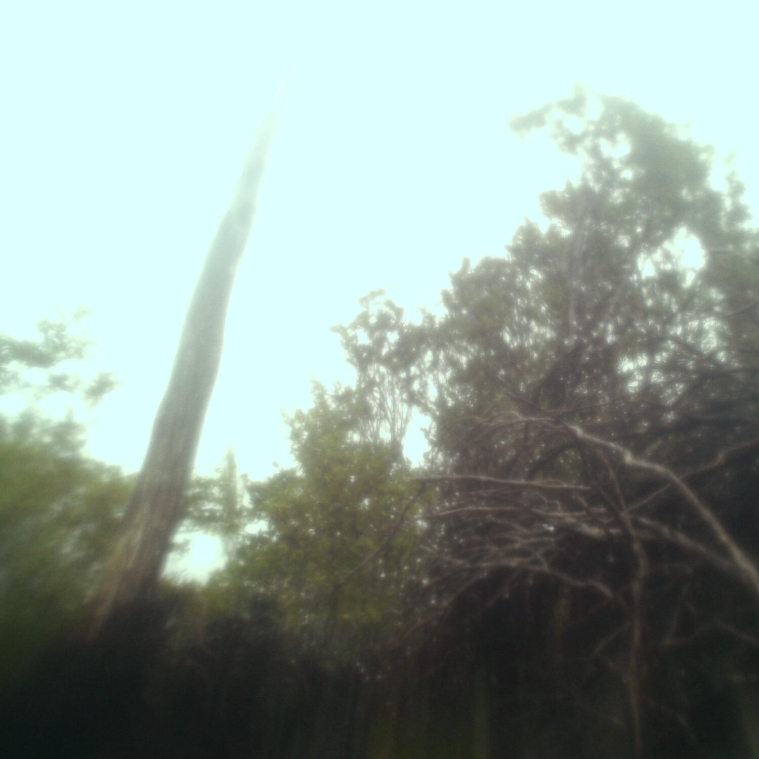A photo captured from the webcam at the time the audio was recorded