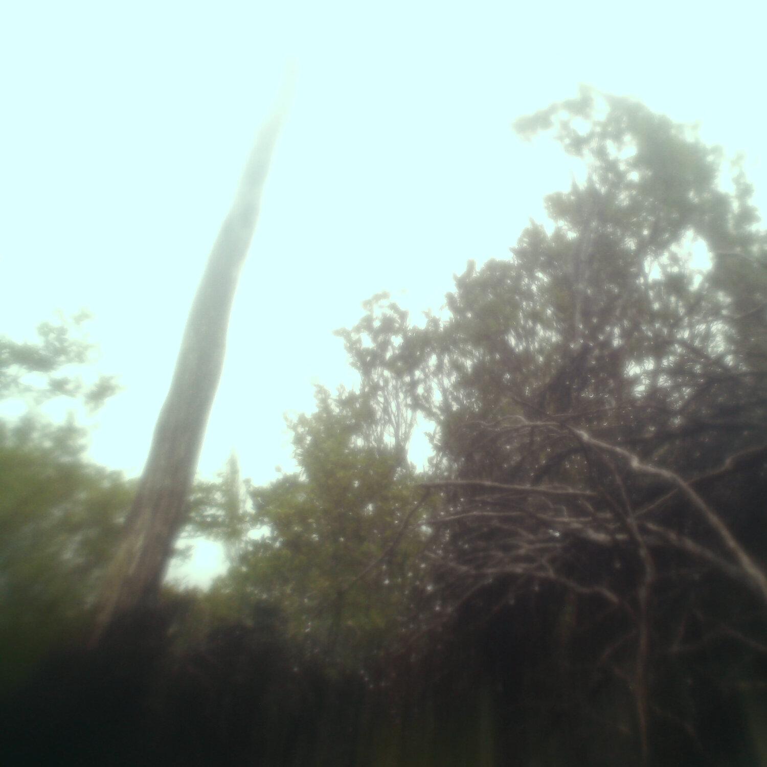 A photo captured from the webcam at the time the audio was recorded