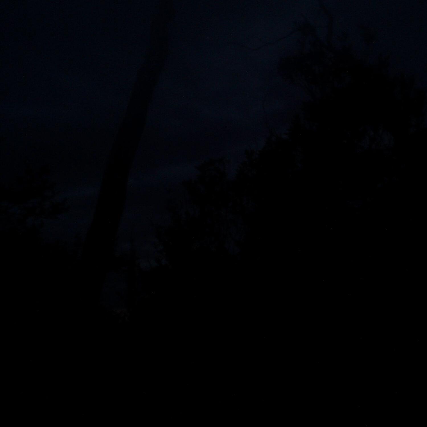 A photo captured from the webcam at the time the audio was recorded