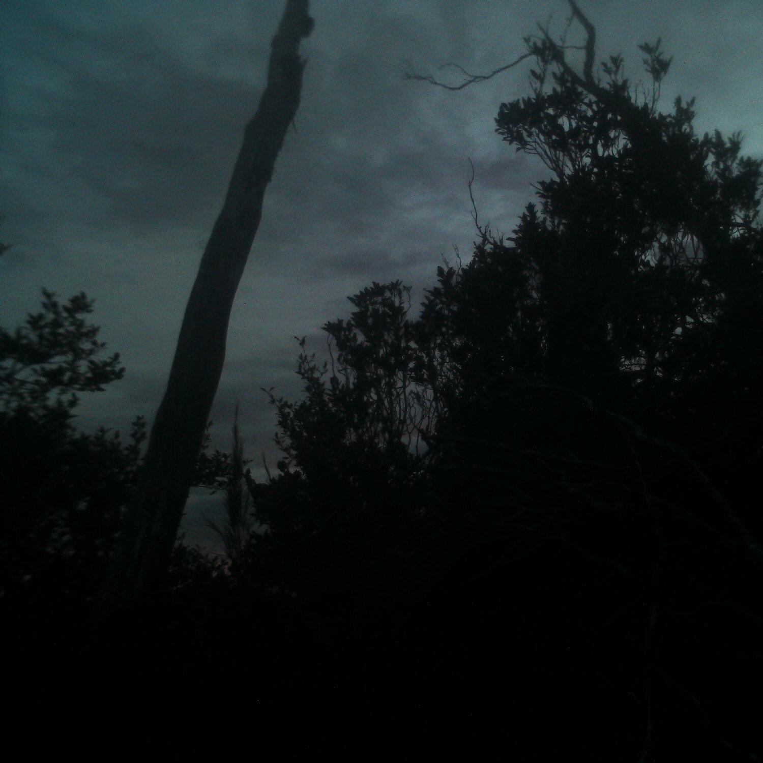 A photo captured from the webcam at the time the audio was recorded