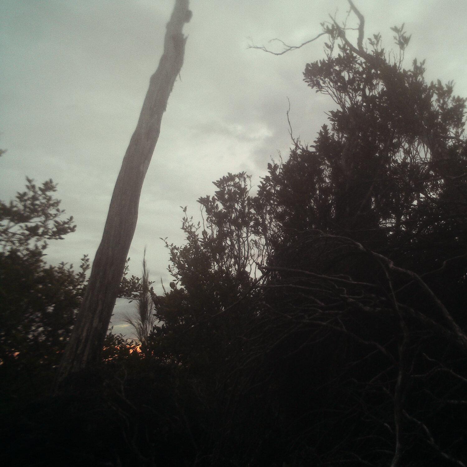 A photo captured from the webcam at the time the audio was recorded
