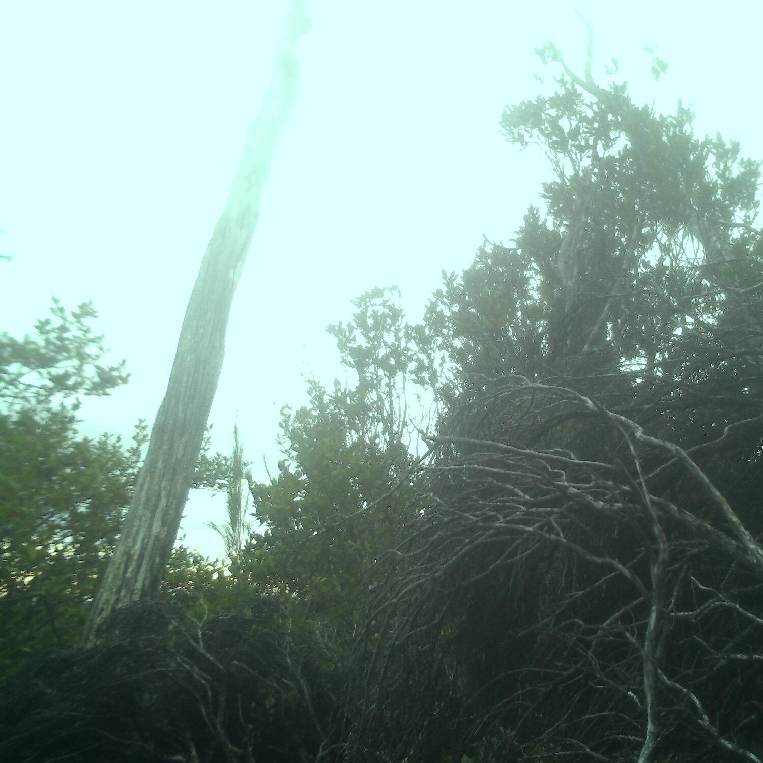 A photo captured from the webcam at the time the audio was recorded