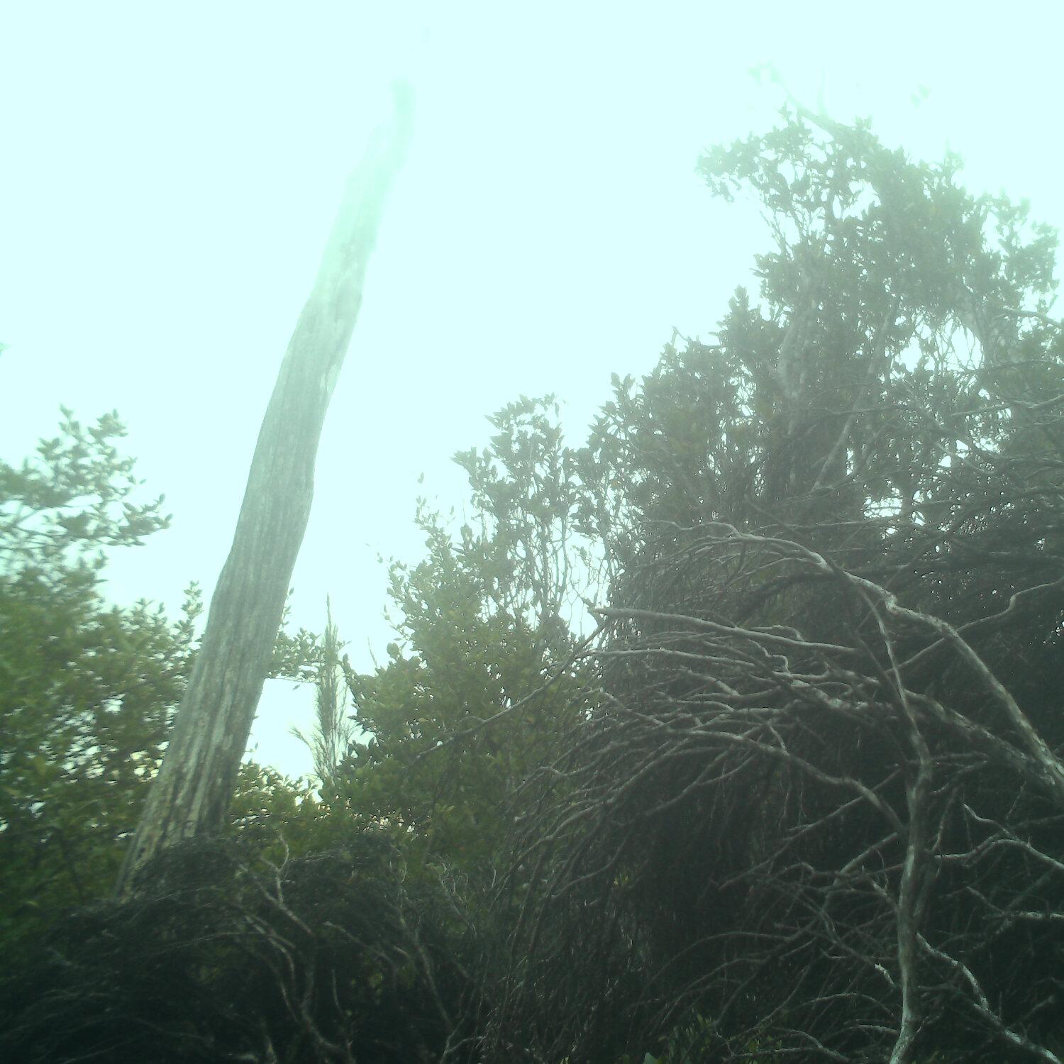 A photo captured from the webcam at the time the audio was recorded