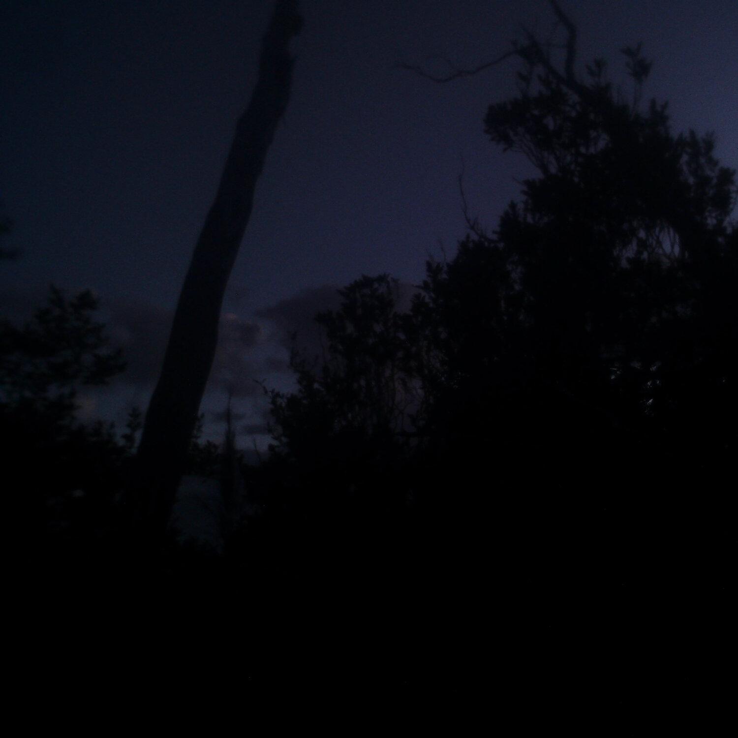 A photo captured from the webcam at the time the audio was recorded
