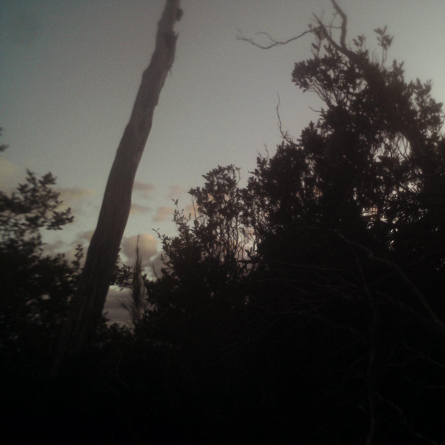 A photo captured from the webcam at the time the audio was recorded