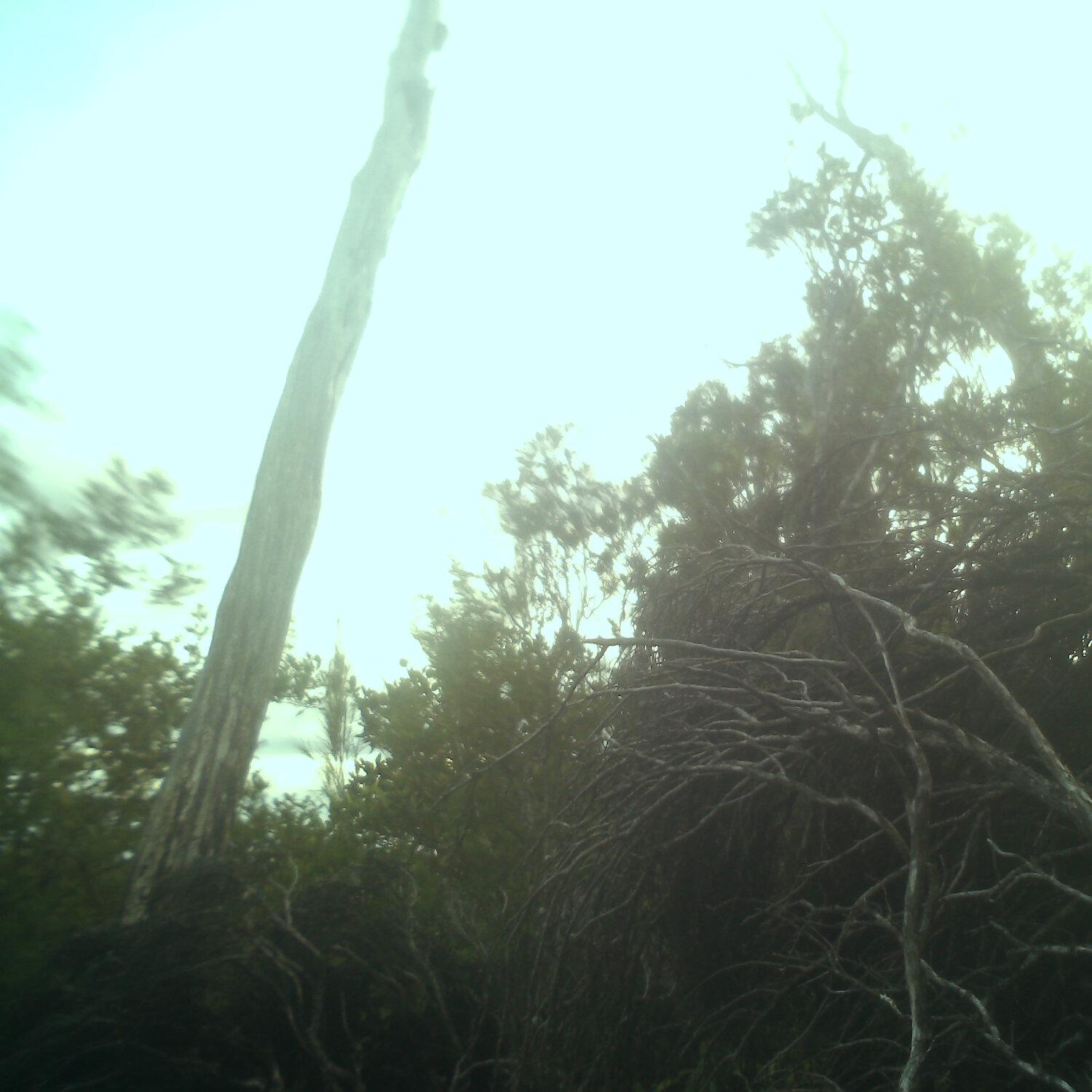 A photo captured from the webcam at the time the audio was recorded
