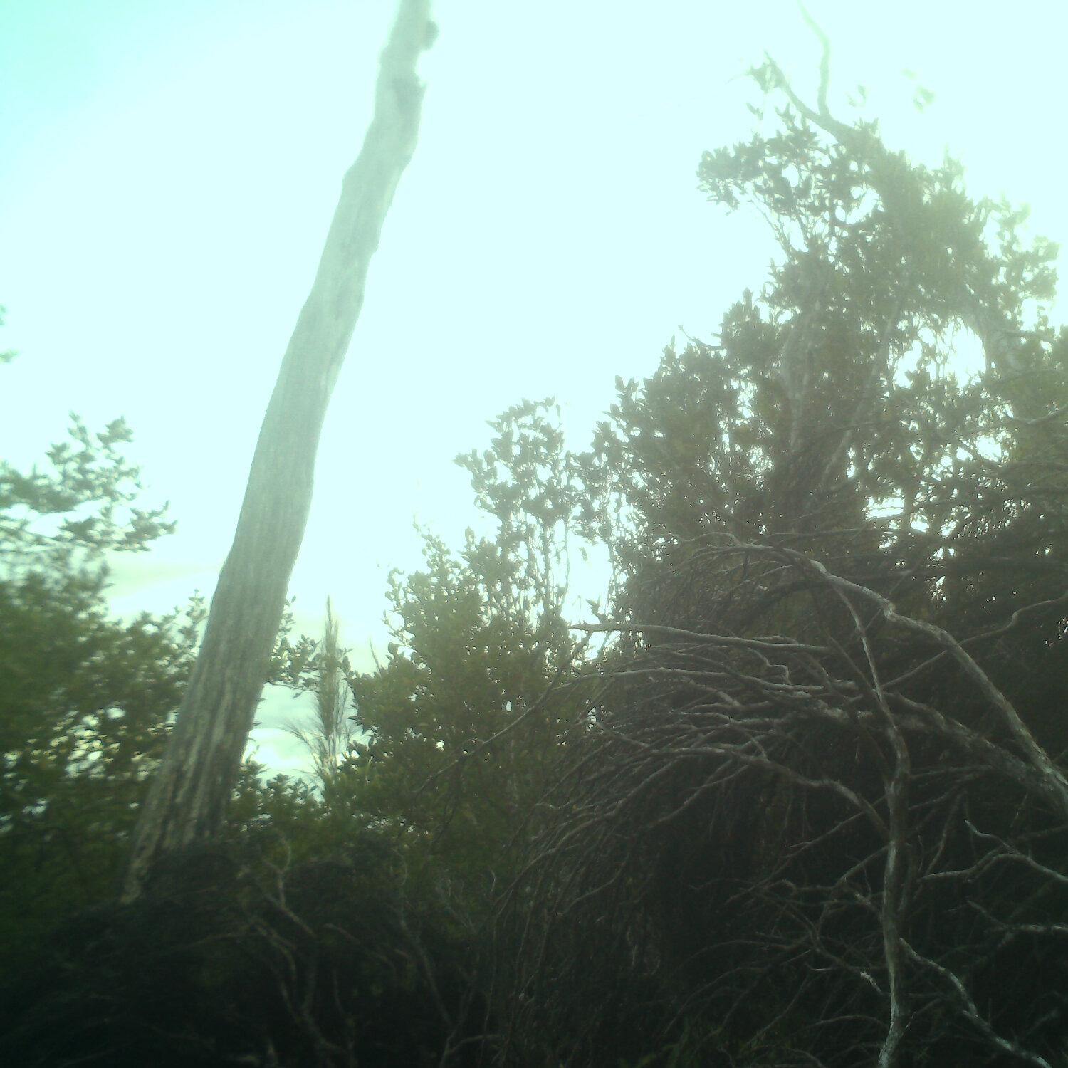 A photo captured from the webcam at the time the audio was recorded
