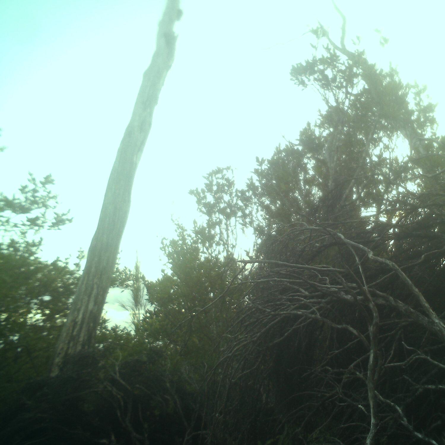 A photo captured from the webcam at the time the audio was recorded