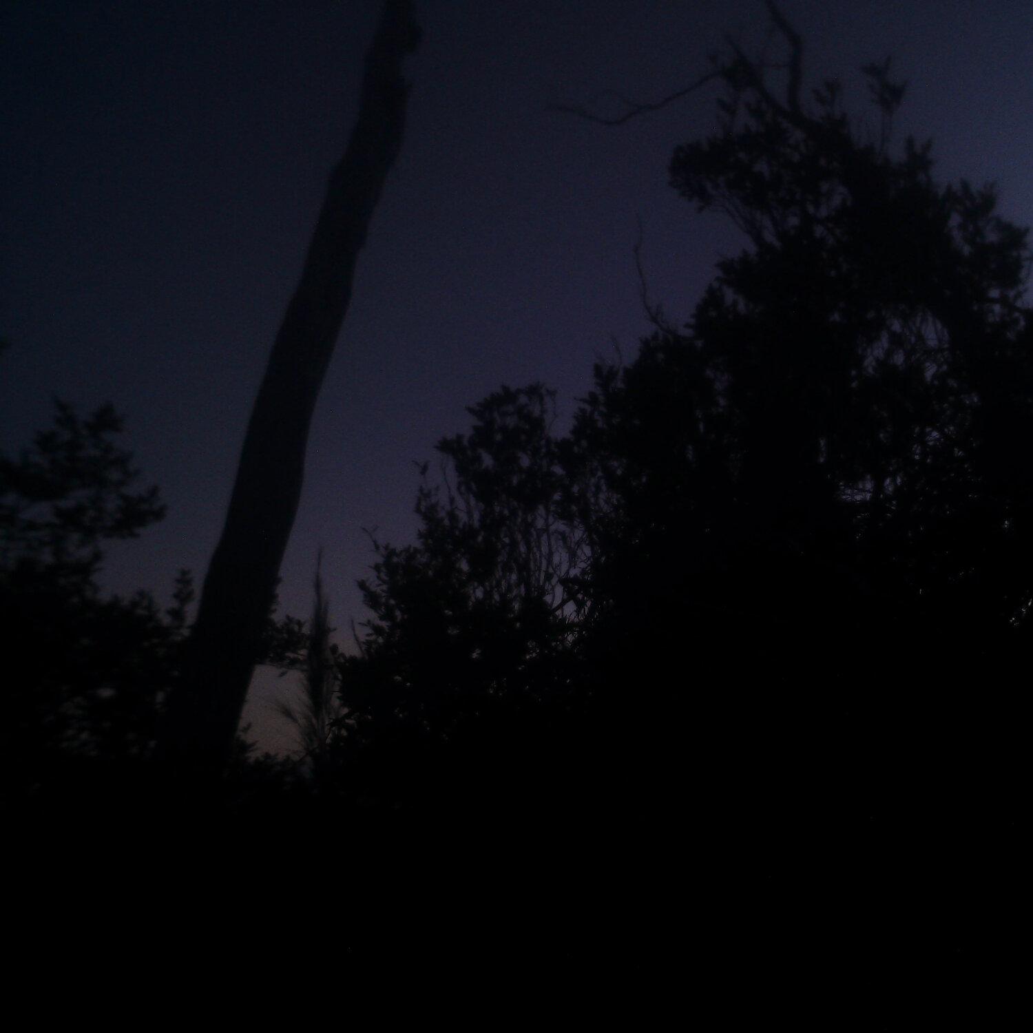 A photo captured from the webcam at the time the audio was recorded