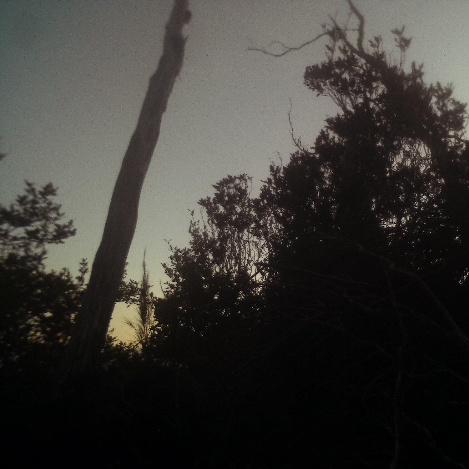 A photo captured from the webcam at the time the audio was recorded