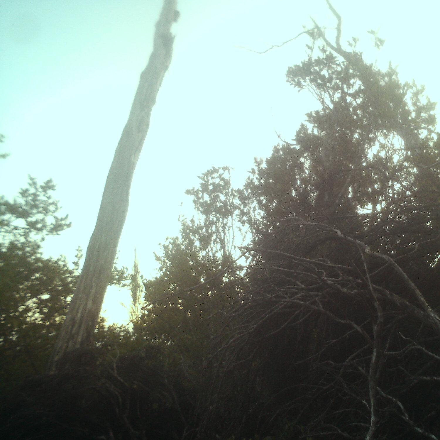 A photo captured from the webcam at the time the audio was recorded